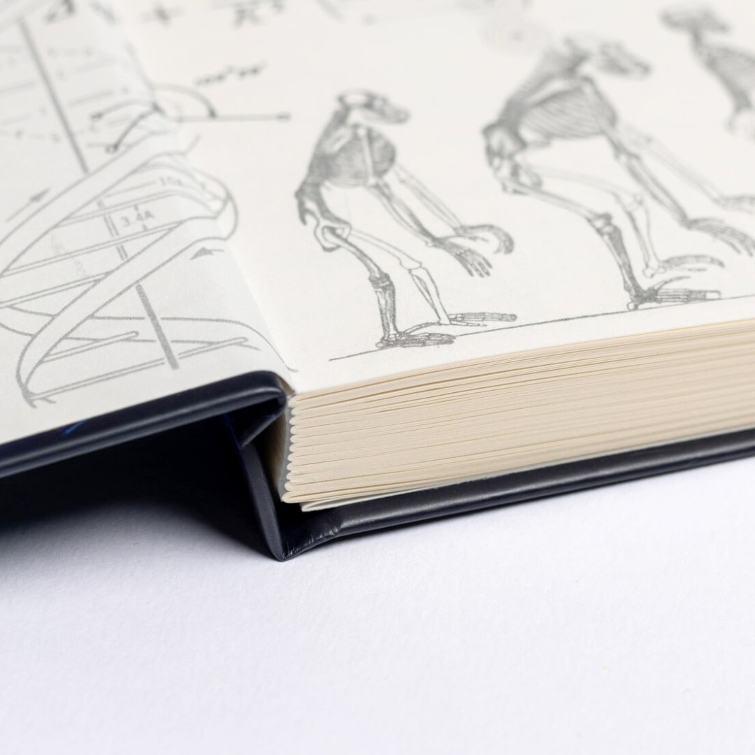 Undated Yearly Productivity Planner - Red