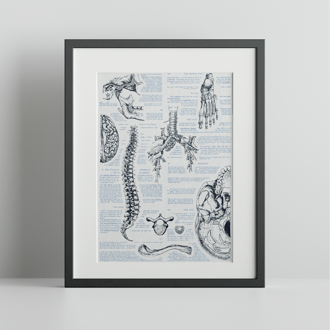 Anatomy Digital Print