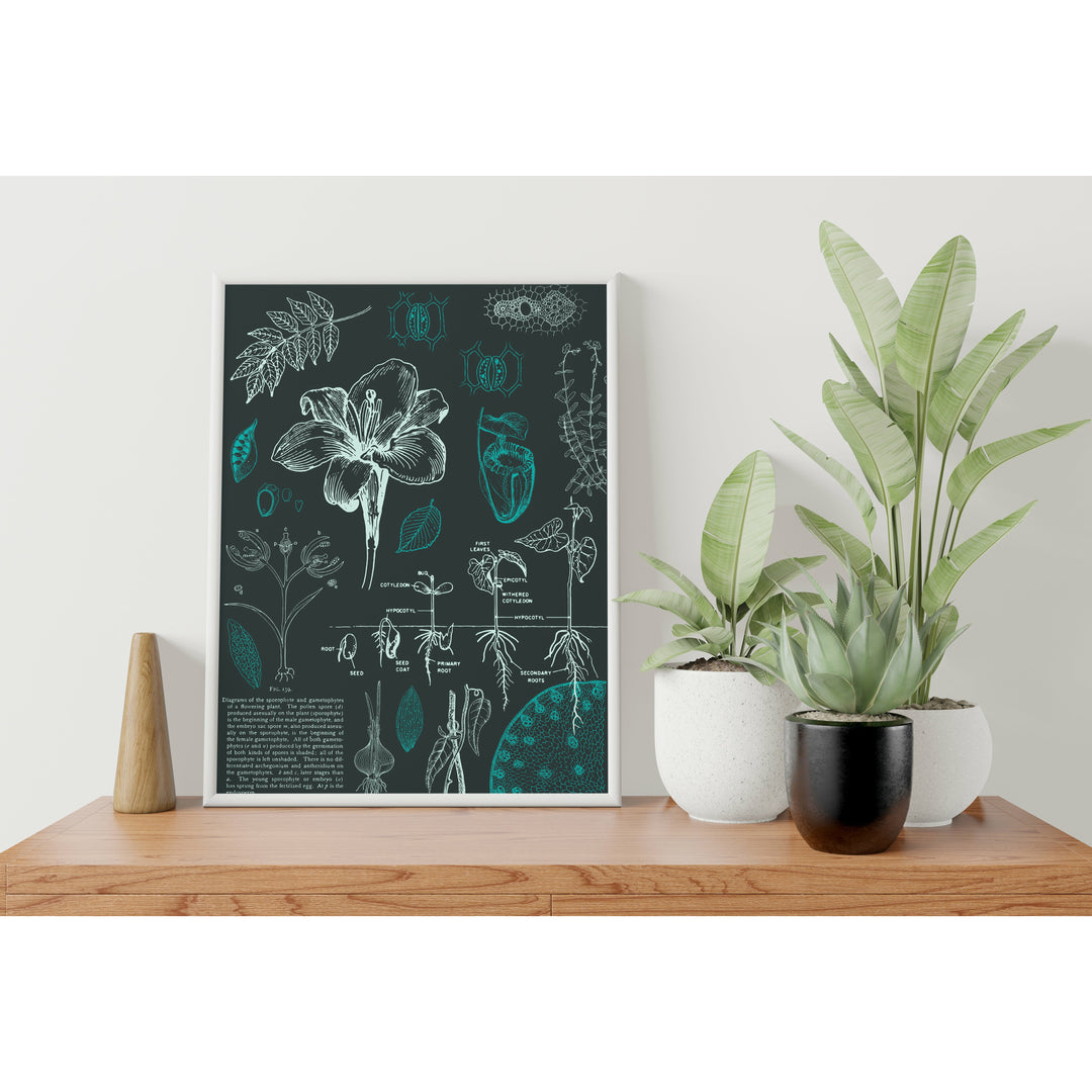 Botany Digital Print