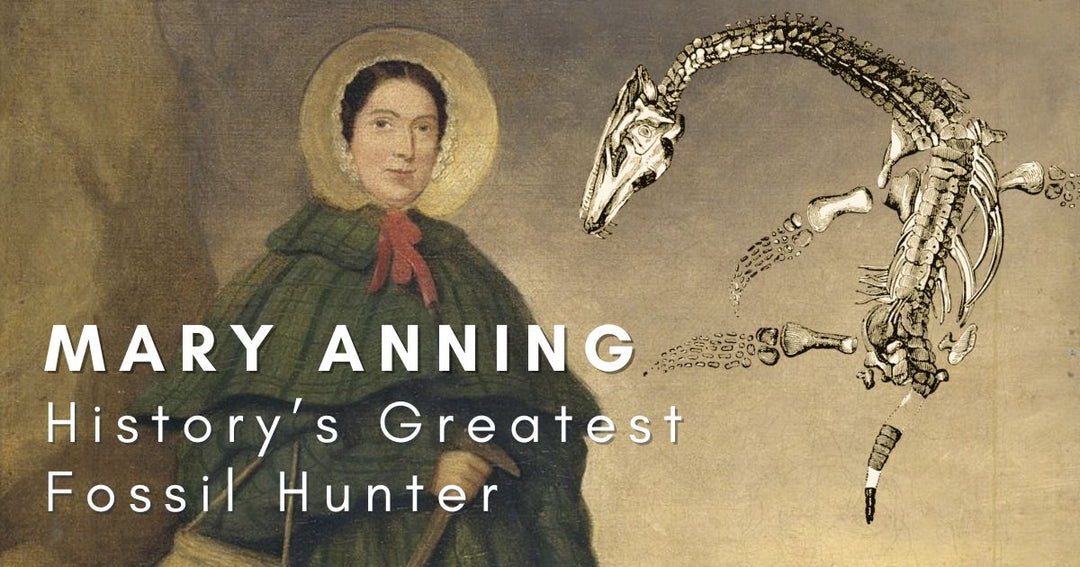 Mary Anning - History's Greatest Fossil Hunter