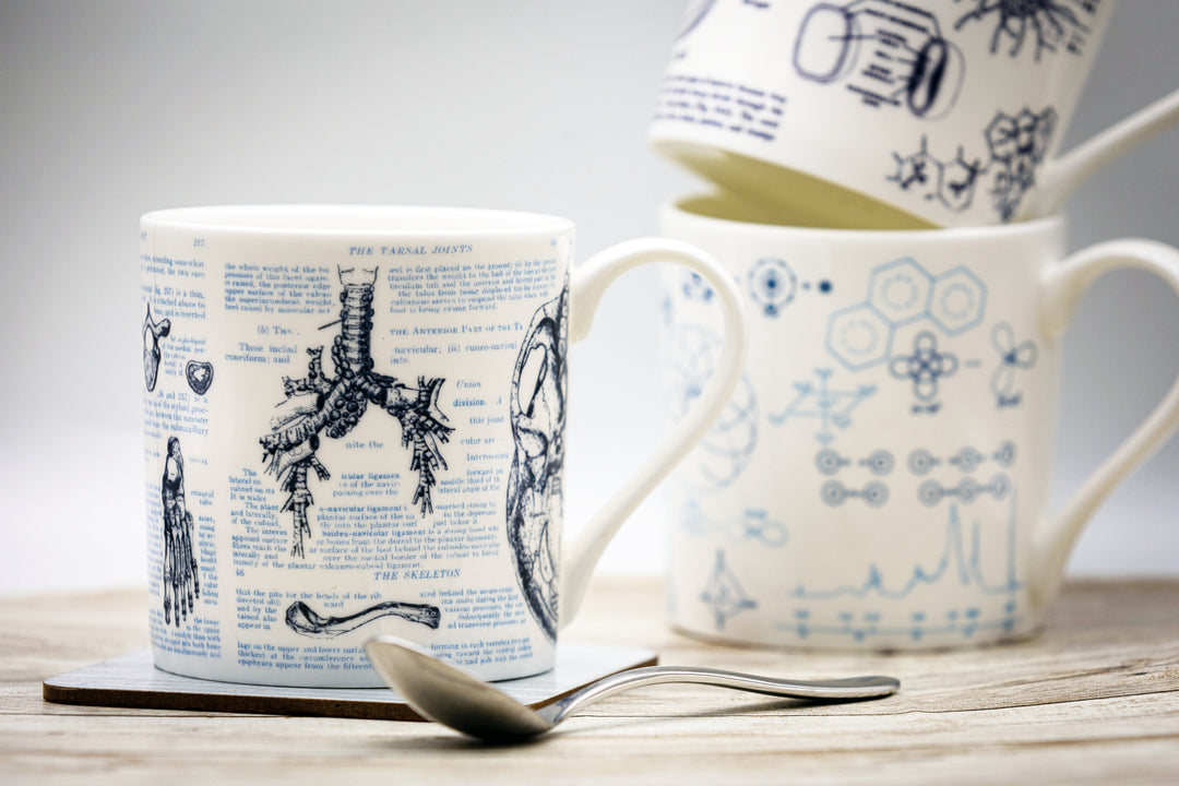 Bone China Mugs
