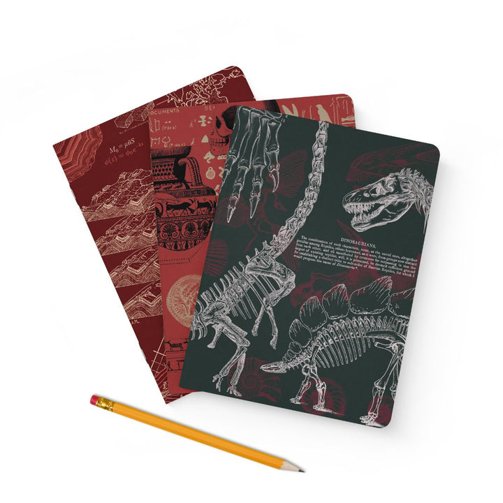 Ancient Earth: Geology, Paleontology, Archaeology