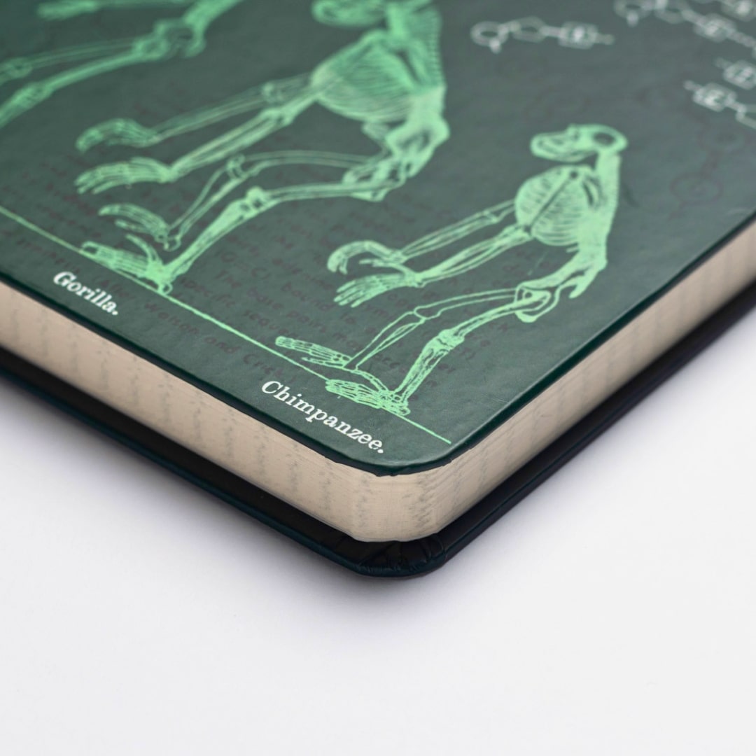 Evolution & Genetics A5 Hardcover Seconds