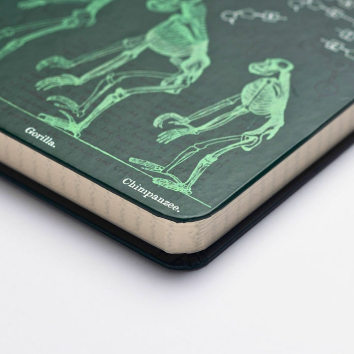 Evolution & Genetics A5 Hardcover Seconds