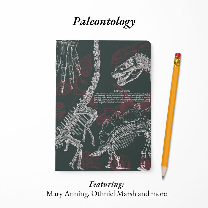 Ancient Earth: Geology, Paleontology, Archaeology