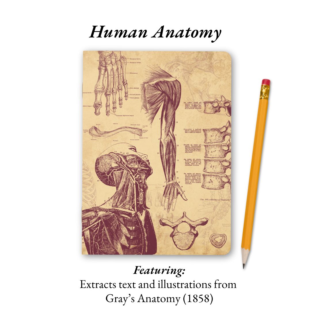 The Living Code: Anatomy, Neuroscience, Evolution & Genetics – Atoms to ...