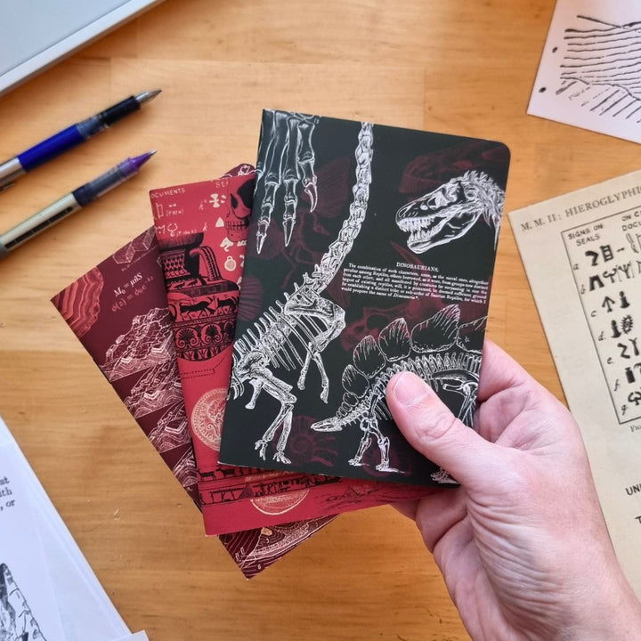 Ancient Earth: Geology, Paleontology, Archaeology