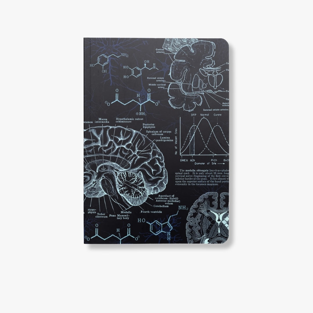 Neuroscience A5 Softcover