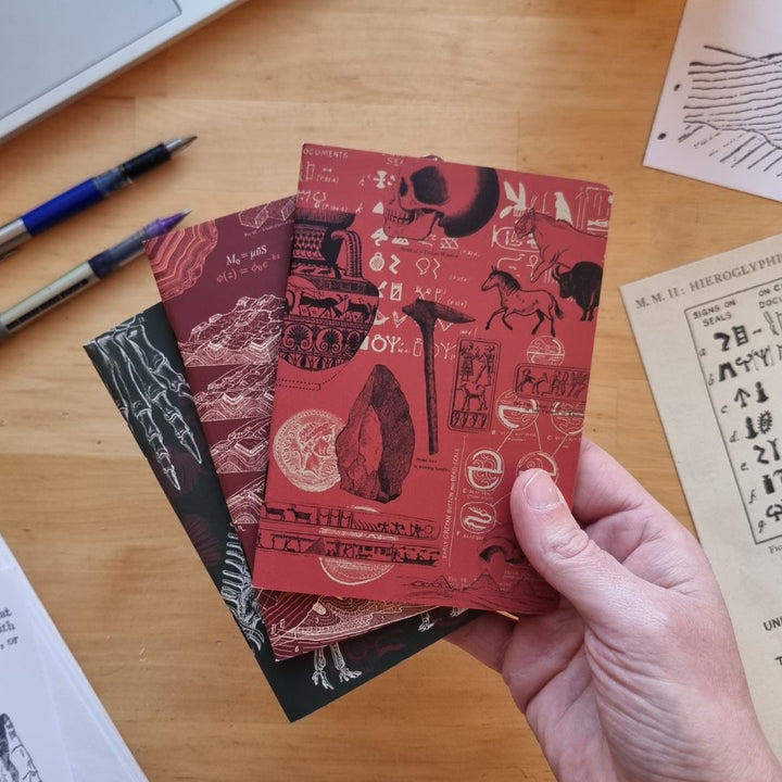 Ancient Earth: Geology, Paleontology, Archaeology