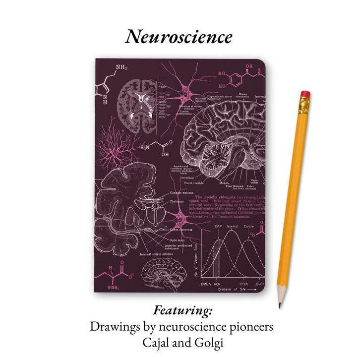 The Living Code: Anatomy, Neuroscience, Evolution & Genetics