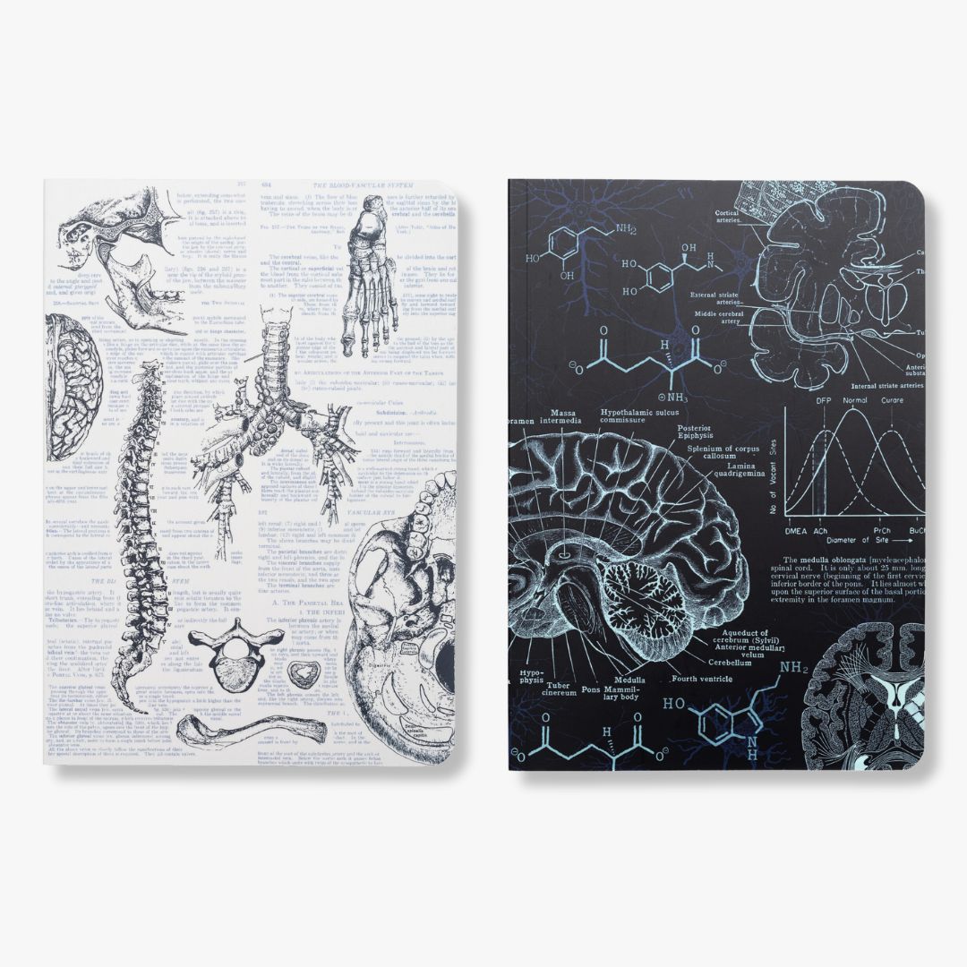 Human Biology Bundle - Softcover