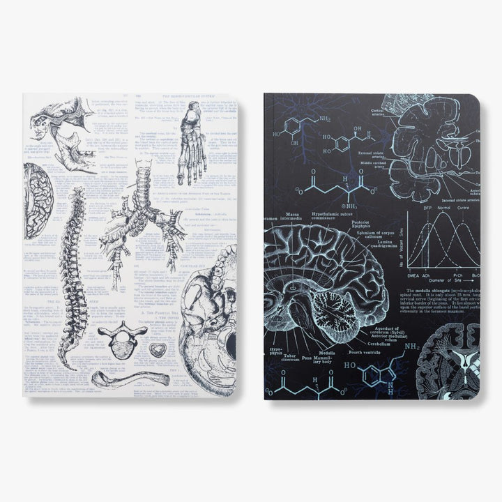 Human Biology Bundle - Softcover