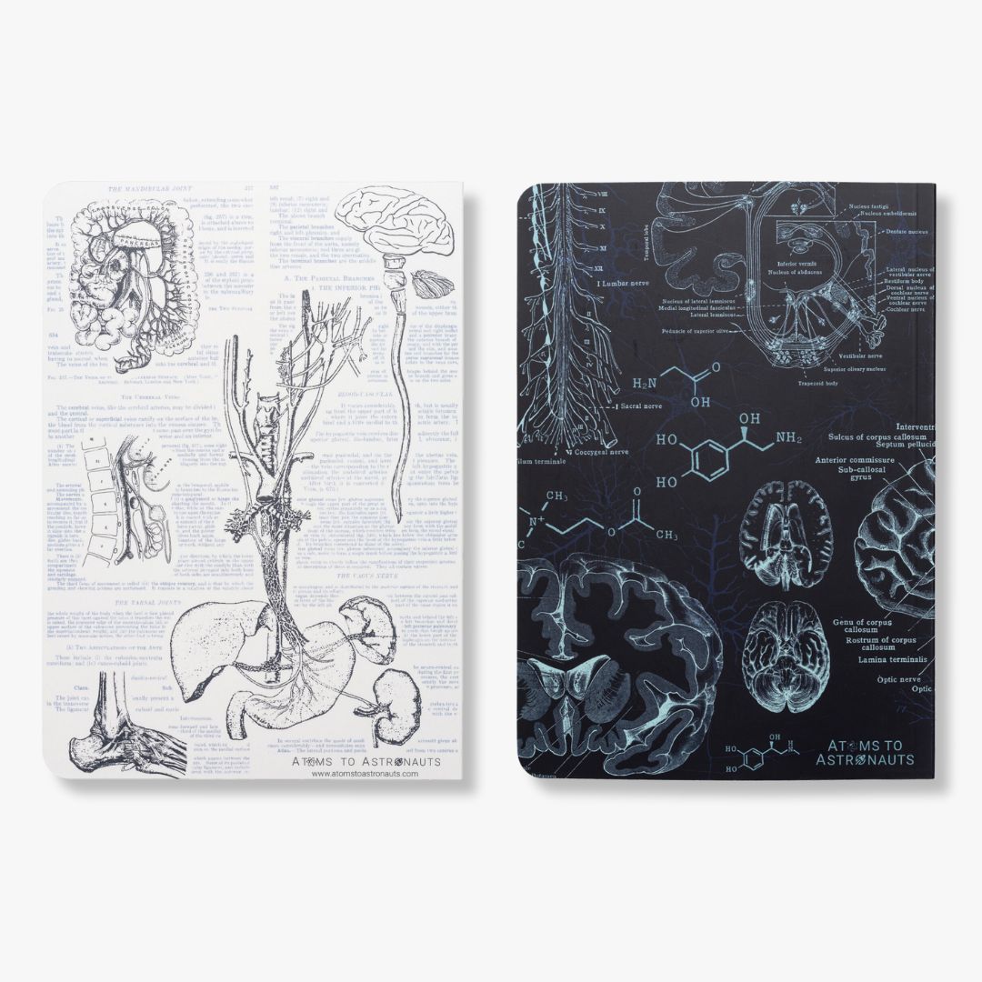 Human Biology Bundle - Softcover