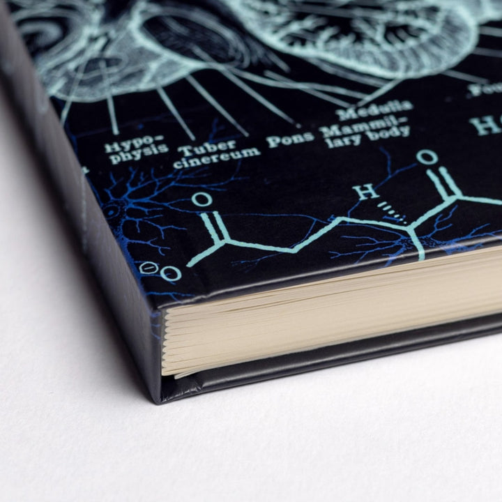 Neuroscience A5 Hardcover Seconds