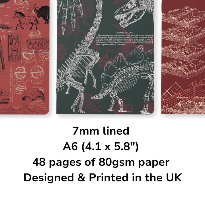 Ancient Earth: Geology, Paleontology, Archaeology