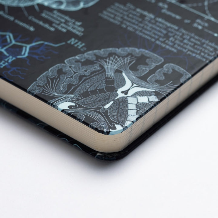 Neuroscience A5 Hardcover Seconds