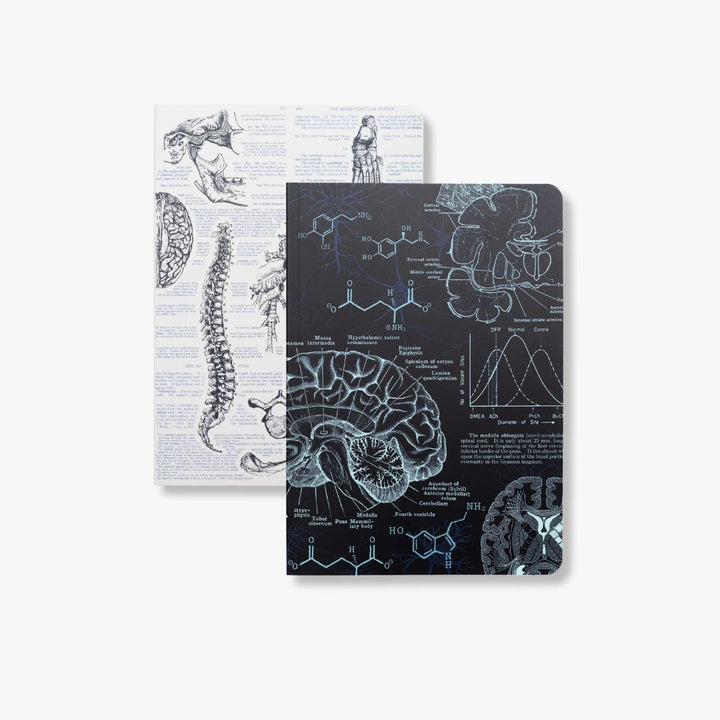 Human Biology Bundle - Softcover
