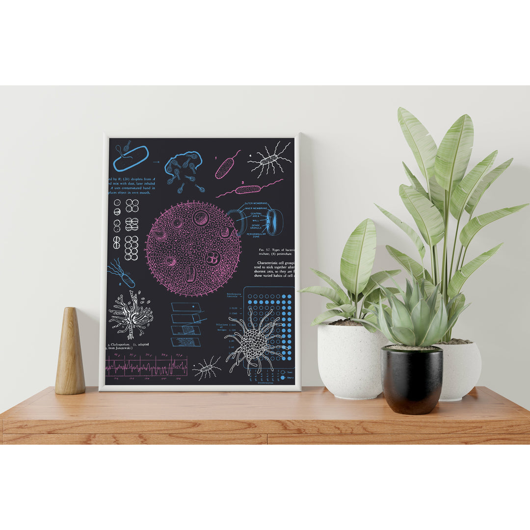 Microbiology Digital Print